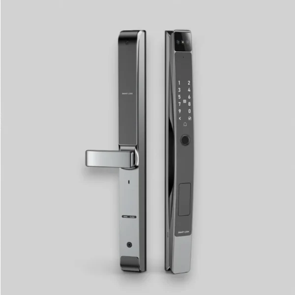 D30 outdoor waterproof smart lock with facial recognition, fingerprint sensor, and keypad access for exterior security.